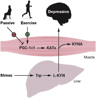 esquema_exercidio_dp