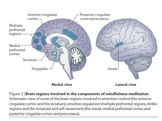 mindfulness